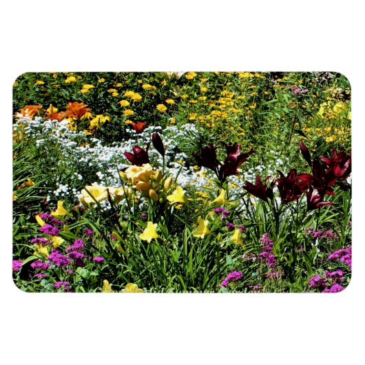 カラフル夏の中庭！ マグネット (横)