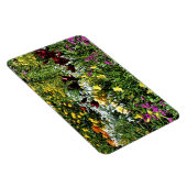 カラフル夏の中庭！ マグネット (右側)