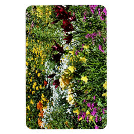 カラフル夏の中庭！ マグネット