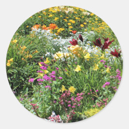 カラフル夏の中庭! ラウンドシール