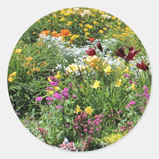 カラフル夏の中庭！ ラウンドシール (正面)