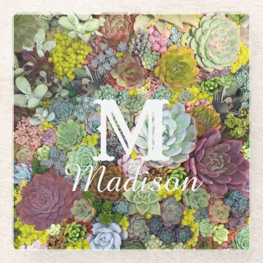 カラフル多肉植物 ガラスコースター (正面)