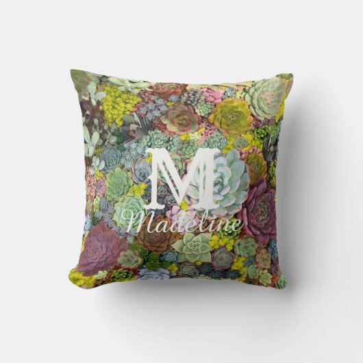 カラフル多肉植物 クッション (正面)