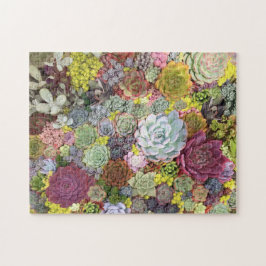 カラフル多肉植物 ジグソーパズル