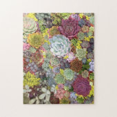 カラフル多肉植物 ジグソーパズル (縦)