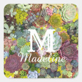 カラフル多肉植物 スクエアシール (正面)