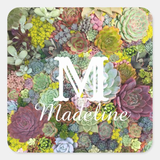カラフル多肉植物 スクエアシール (正面)