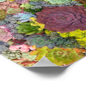 カラフル多肉植物 ポスター (角)