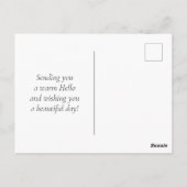 カラフル多肉植物 ポストカード (裏面)