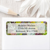 カラフル多肉植物 ラベル (インサイチュ)