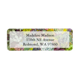 カラフル多肉植物 ラベル