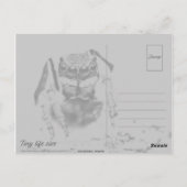 カラフル孔雀スパイダーマクロ写真 ポストカード (裏面)