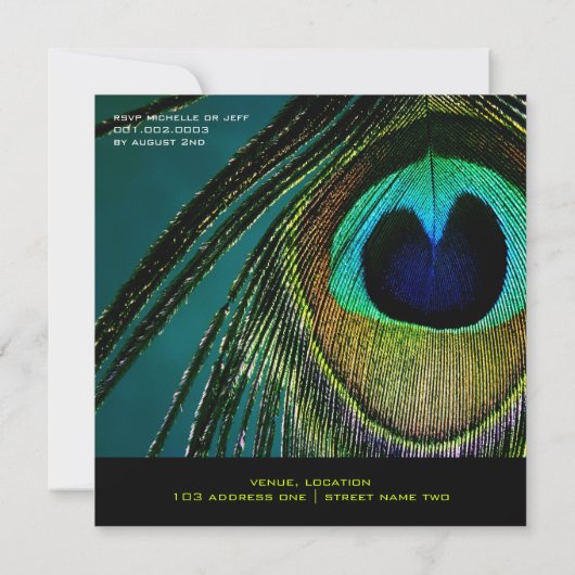 カラフル孔雀フェザークラスフォトパーティー招待状 招待状 (裏面)