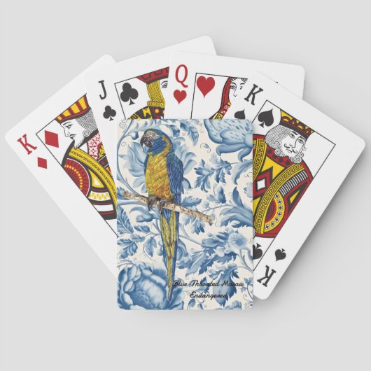 カラフル手色彩の鮮やか絶滅危惧種 トランプ (裏面)