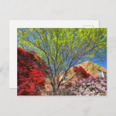 カラフル春の木と茂み ポストカード (正面/裏面)