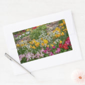 カラフル春の花全開花 長方形シール (封筒)