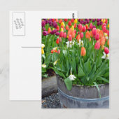 カラフル春チューリッププリント葉書 ポストカード (正面/裏面)