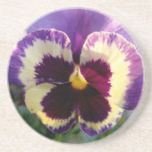 カラフル春パンシー コースター (正面)