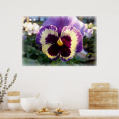 カラフル春パンシー ポスター (キッチン)