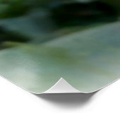 カラフル春パンシー ポスター (コーナー)