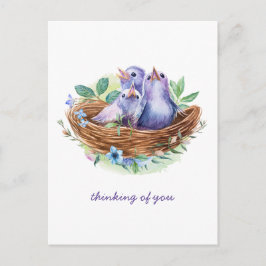 カラフル春ベビー鳥がネストに考える巣く ポストカード