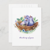 カラフル春ベビー鳥がネストに考える巣く ポストカード (正面/裏面)