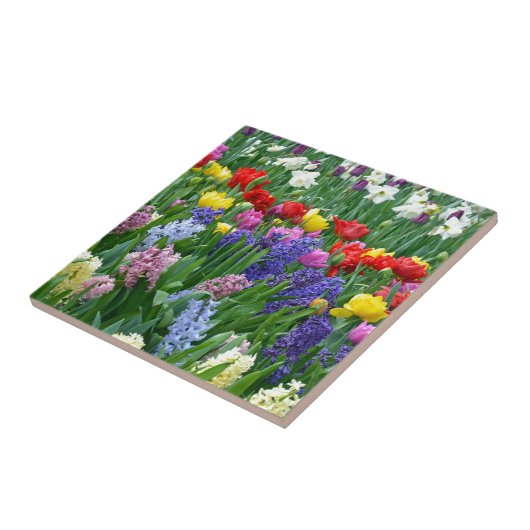 カラフル春花園 タイル (側面)