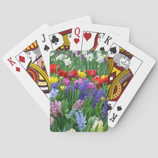 カラフル春花園 トランプ (裏面)
