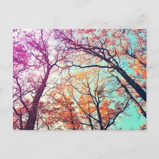 カラフル木 ポストカード (正面)