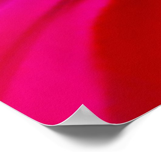 カラフル果渦 ポスター (角)