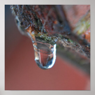 カラフル氷柱 ポスター