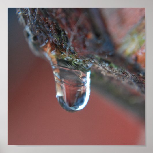 カラフル氷柱 ポスター (正面)