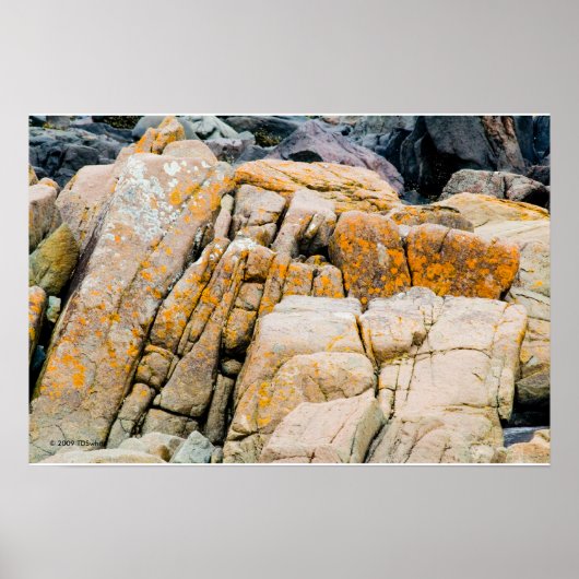 カラフル海ロックプリント ポスター (正面)