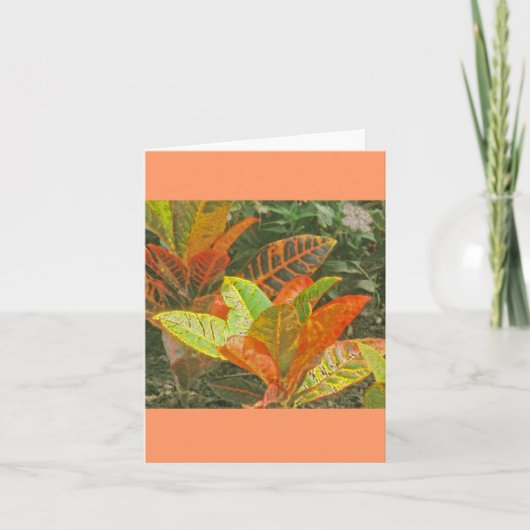「カラフル熱帯植物」 カード (正面)