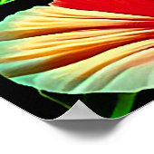 カラフル熱帯葉の花とハイビスカス | ポスター (角)