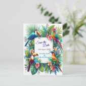 カラフル熱帯鳥と青鮮やかい植物 案内ポストカード (スタンド正面)