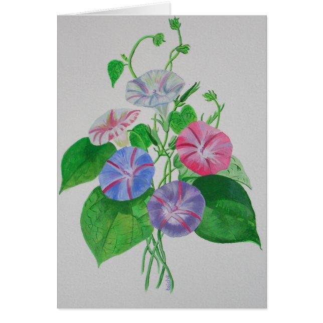カラフル登山モーニンググローリーボタニカルアート (正面)