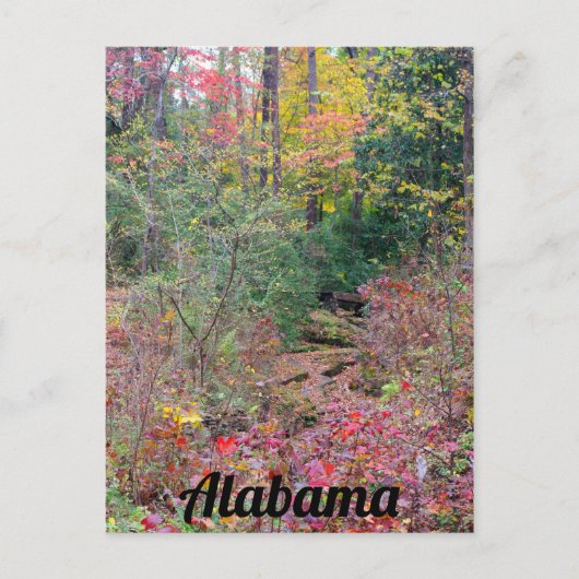 カラフル秋ツリーコラージュ ポストカード (正面)