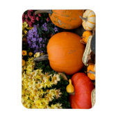 カラフル秋飾りカボチャ マグネット (縦)