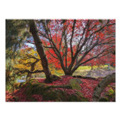 カラフル紅葉と樹木の風景 フォトプリント (正面)