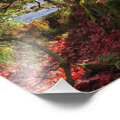 カラフル紅葉と樹木の風景 フォトプリント (角)