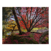 カラフル紅葉と樹木の風景 ポスター (正面)