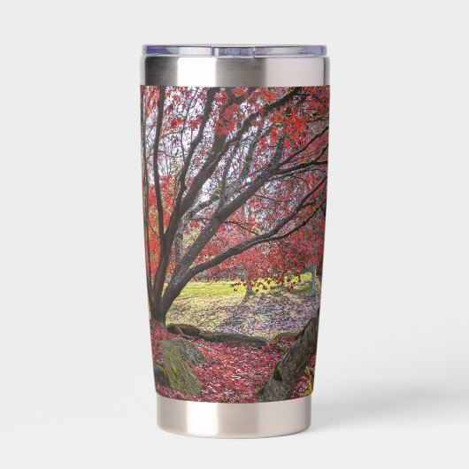 カラフル紅葉と樹木の風景 保温保冷タンブラー (背面)