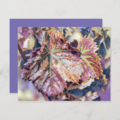 カラフル紅葉と紅葉水色 (正面/裏面)