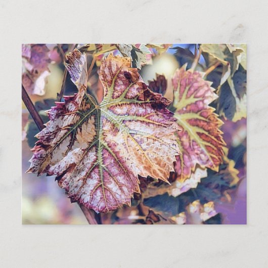 カラフル紅葉と紅葉水色 (正面)