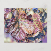 カラフル紅葉と紅葉水色