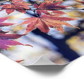 カラフル紅葉と紅葉水色 ポスター (角)
