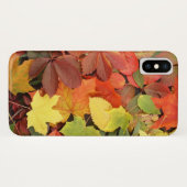カラフル紅葉の背落ちた景 Case-Mate iPhoneケース (裏面(横))