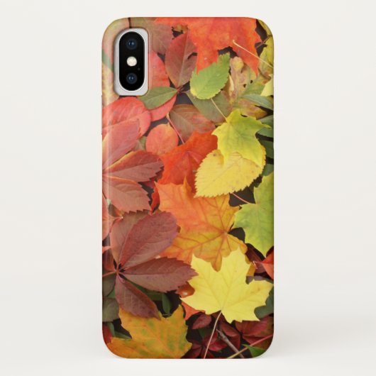 カラフル紅葉の背落ちた景 Case-Mate iPhoneケース (裏面)