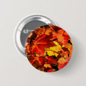 カラフル紅葉オレンジ色の赤い黄色 缶バッジ (正面&裏面)